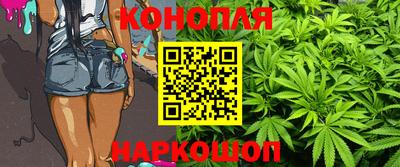 соль ск Новозыбков