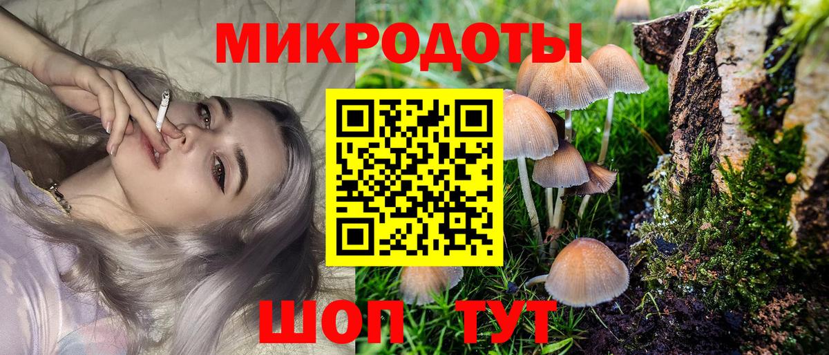 Псилоцибиновые грибы Cubensis Ачхой-Мартан