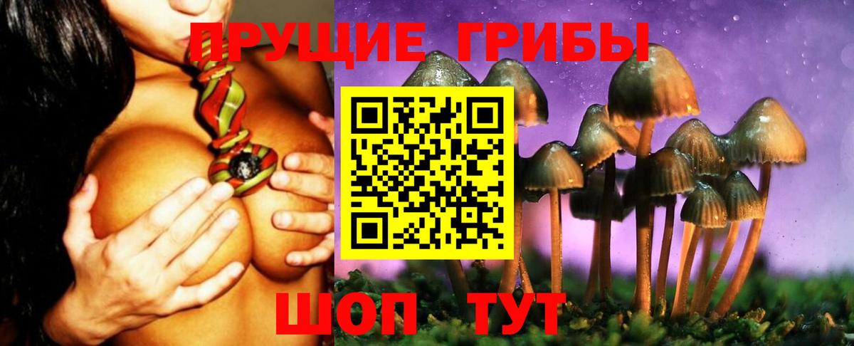 Псилоцибиновые грибы ЛСД  Вход с VPN  Ачхой-Мартан 